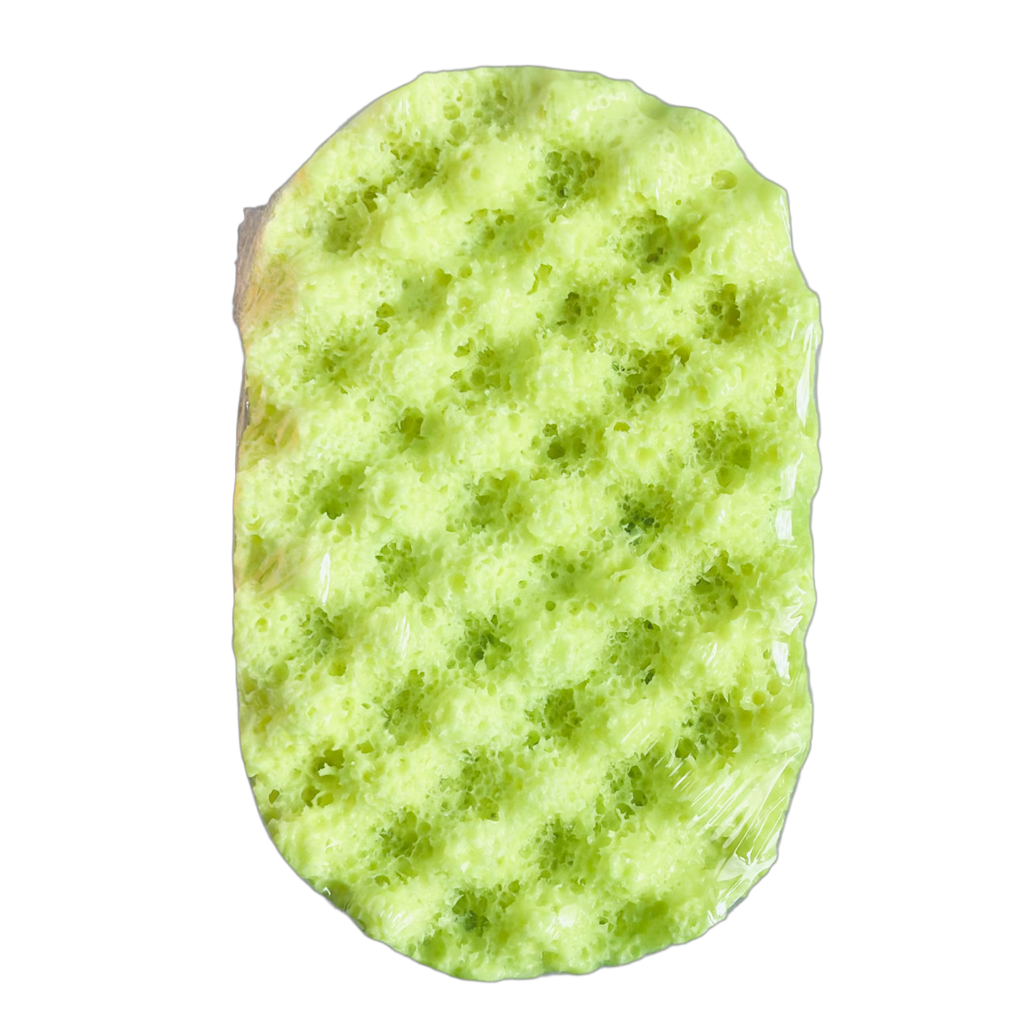 Tropical Paradise Soap Sponge