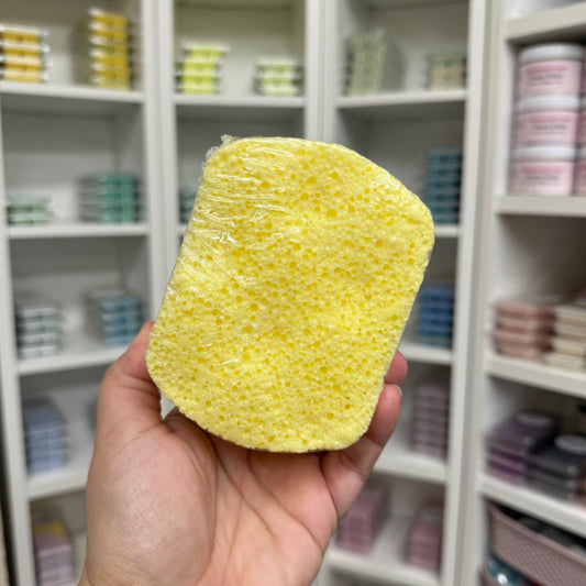 Mini Soap Sponge